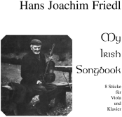 irish fiddle player