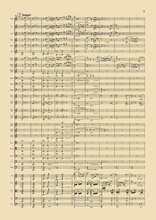 Erste Symphonie in einem Satz op. 3